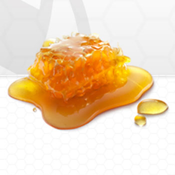 Zarbees Web Development